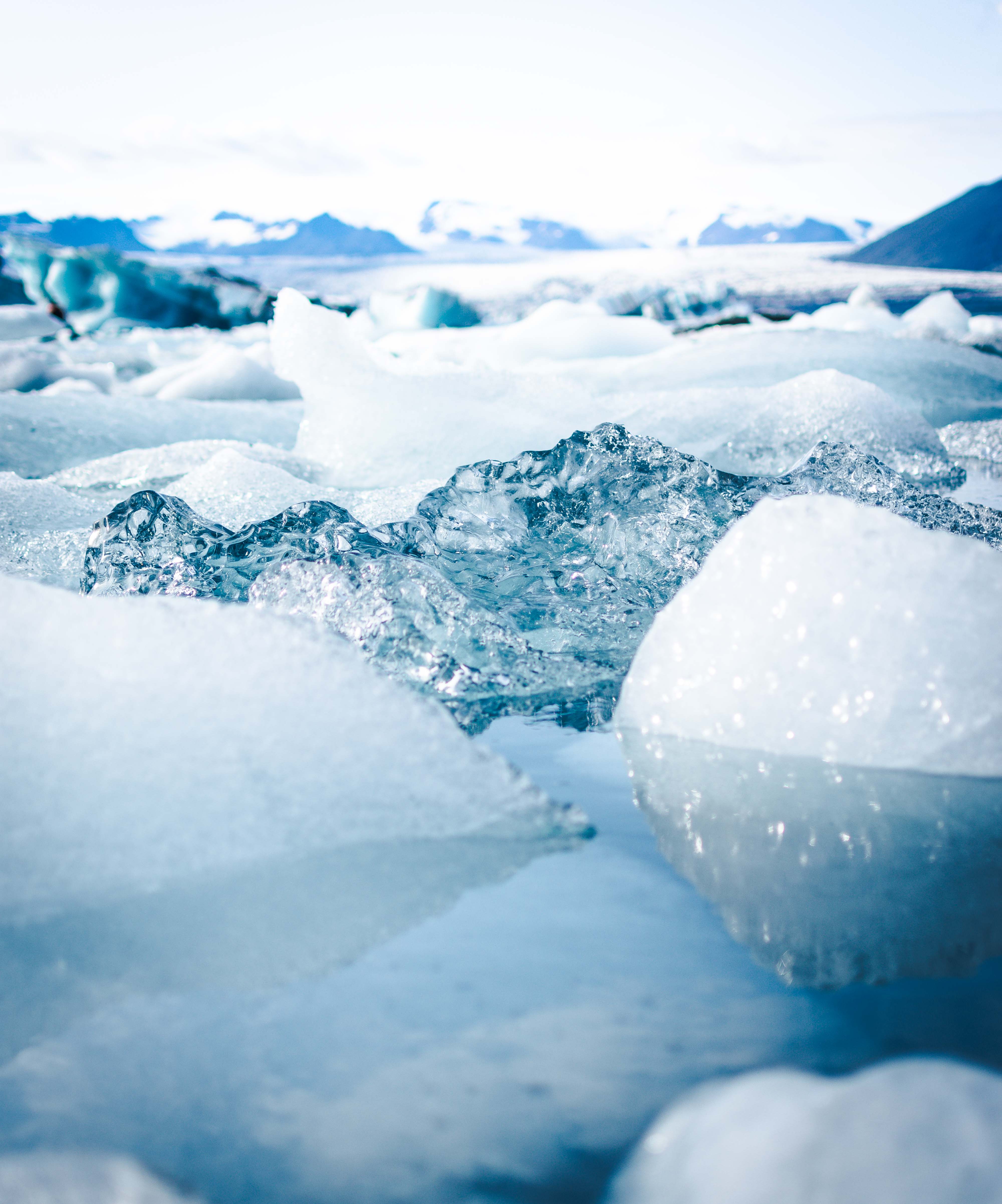 The Icefield